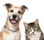 Alpha Veterinary Care Logo